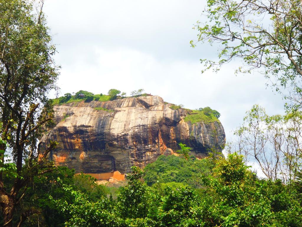 The Nilmini Lodge Sigiriya Exterior foto